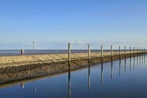 Jetty and dolphins at Juist marina