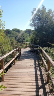 Estanque del Acebron in the Donana natural park at sunset. Huelva