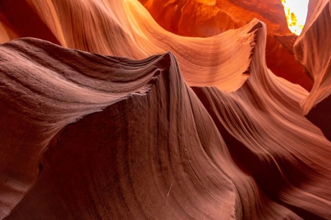 The wonders seen in Lower Antelope looking up. Arizona