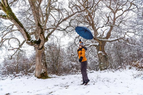 A young woman in a yellow jacket and an umbrella playing with the snow on a tree branch. Snow in the town of Opakua near Vitoria in Araba