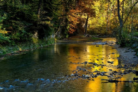 The Eistobel nature reserve