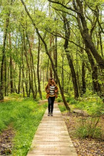 A young girl on the wooden footpath at Lake Paimpont in the Broceliande forest