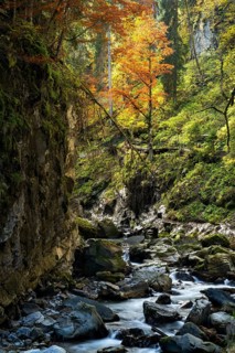 The Breitachklamm gorge