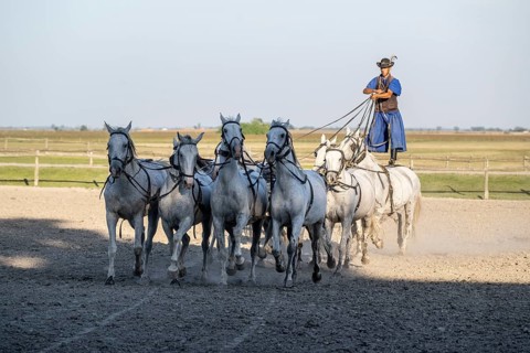 Riding demonstration