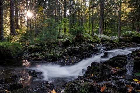 Waterfall in autumn forest with rocks