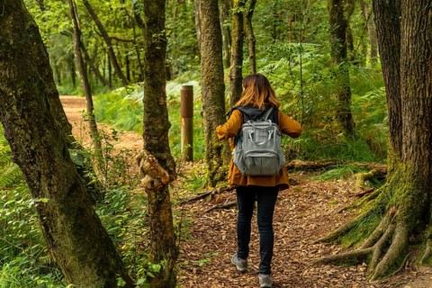 A young woman trekking on Lake Paimpont in the Broceliande forest