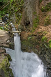 Water flow from a spring at Berkwaal