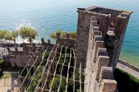 View of the fortress wall and lemon grove