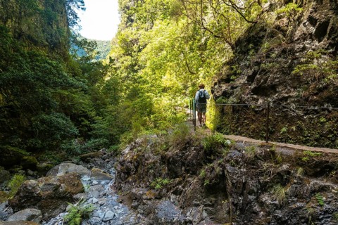 Trekking path next to the waterfall in the Levada do Caldeirao Verde