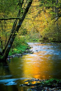 The Eistobel nature reserve