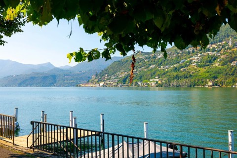 Lake and Mountain View with Tree Branch over Morcote in a Sunny Summer Day on Lake Lugano in Morcote