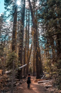 A young woman on the beautiful trail from Taft point to Sentinel Dome