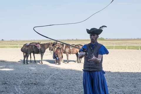 Cracking the whip with the Hungarian shepherd's whip