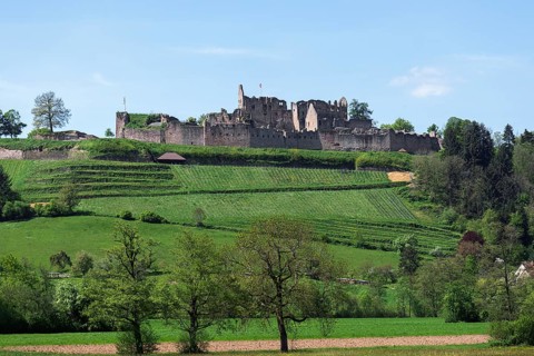 Hochburg Ruin