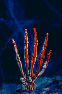 Bloodied skeleton hand in front of artificial cobwebs