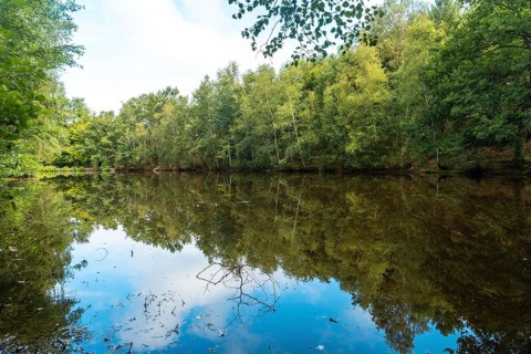 A natural lake in the Broceliande forest