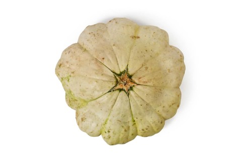 Top view of Pattypan squash with round and shallow shape and scalloped edges on white background