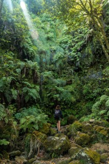 A young woman in the great green vegetation of the Levada do Caldeirao Verde trail