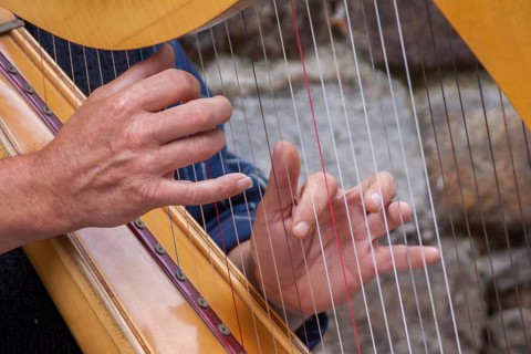 Hands playing a harp