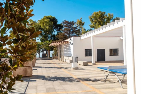 Palm tree and white buildings in the municipality of Mijas in Malaga. Andalusia