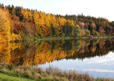 Colourful autumn forest with beautiful reflection near Haslach