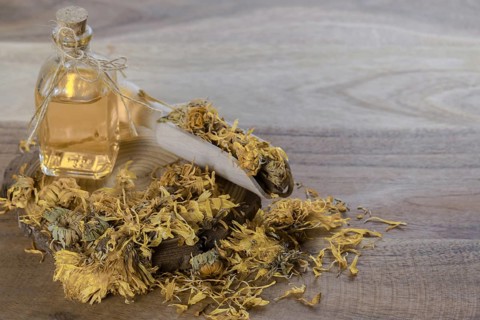 Dried flowers of calendula
