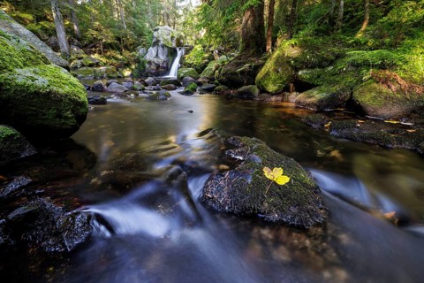 Waterfall in autumn forest with rocks