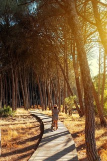 Wooden walkway with a mother with her son walking through the Donana Natural Park