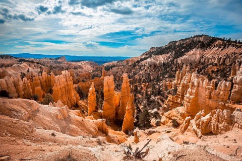 Views from the Sunrise Point in Bryce National Park. Utah