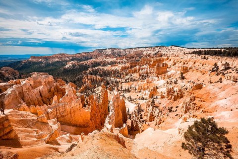 We started the trekking Queens Garden Trail in Bryce National Park