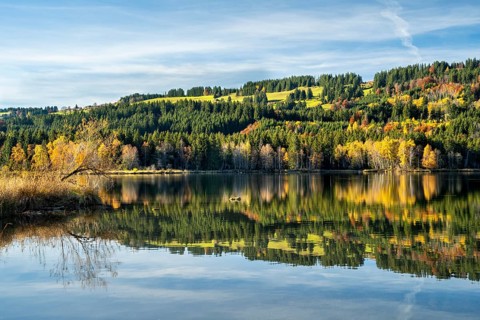 Lake Gruentensee in the Wertach valley in autumn. Trees in autumn leaves are reflected in the calm lake. Good weather