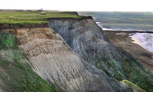 Bovbjerg cliffs