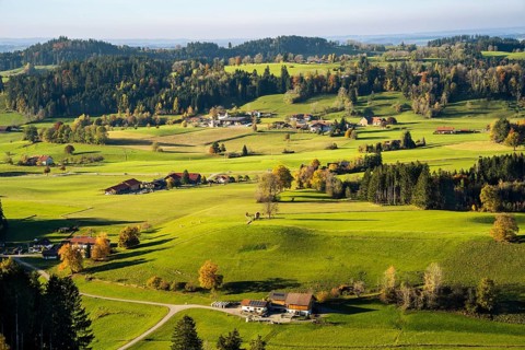 Landscape around Maierhoefen in the Allgaeu in autumn with meadows