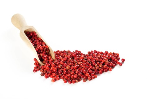 Wooden spoon with pink peppercorns isolated on white background and copy space