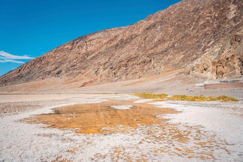 Some water in the immense white salt of Badwater Basin