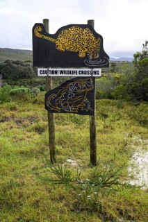 Game sign
