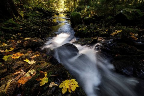 Waterfall in autumn forest with rocks