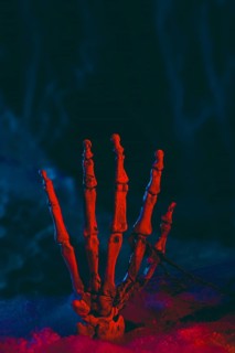 Skeleton hand in front of artificial cobwebs