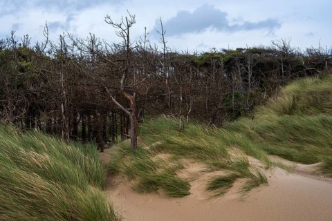 Traeth Llanddwyn Beach