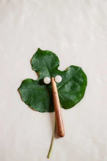 Mockup of a facial roller on a Jatropha podagrica leaf