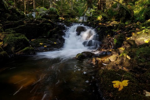 Waterfall in autumn forest with rocks