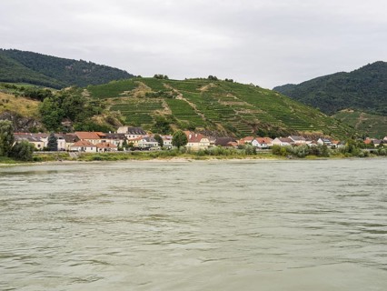 Vineyards on the Danube