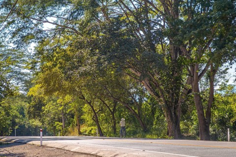 A local cyclist with a hat on the roads of Copan Ruinas. Honduras