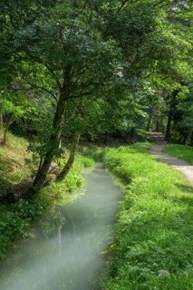 Leiterwaal