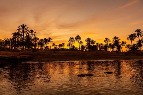 Silhouette of palm trees reflected in an orange sunset on a beach by the sea in the town of Torrevieja. White coast of the Mediterranean Sea of Alicante. Spain