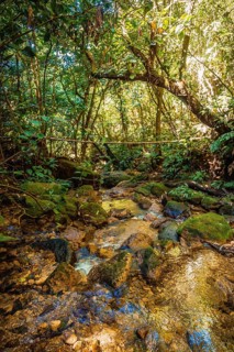 The river of the Cerro Azul Meambar National Park