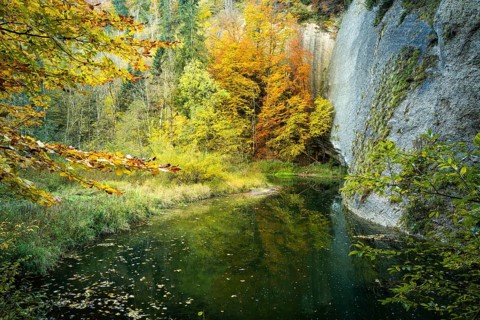 The Eistobel nature reserve