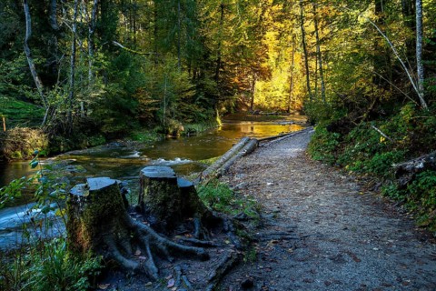 The Eistobel nature reserve