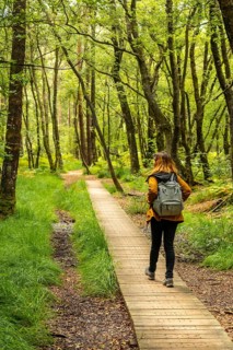 A young girl on the wooden footpath at Lake Paimpont in the Broceliande forest
