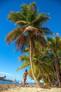 A young woman leaning on a palm tree on West End Beach on Roatan Island. Honduras